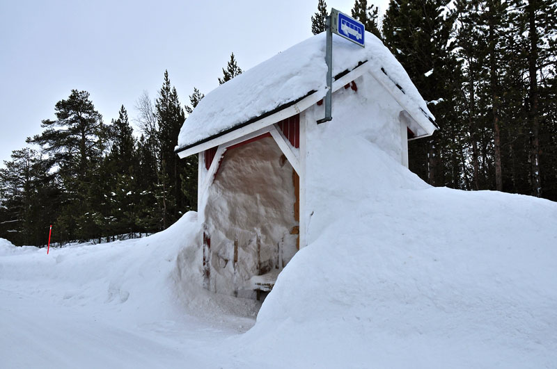 Norway, Sweeden, Finland, Scandinavia